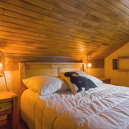 Ravine, Duplex Superbe Vue 5 Minutes Des Télécabines Appartement La Plagne